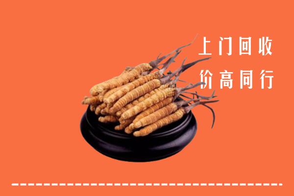 高价求购：驻马店回收散虫草
