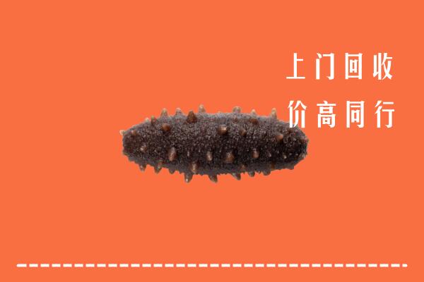 高价求购：驻马店回收海参